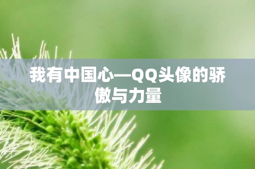 QQ头像的骄傲与力量图片