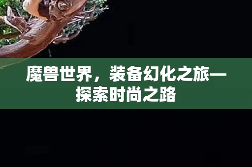 装备幻化之旅图片