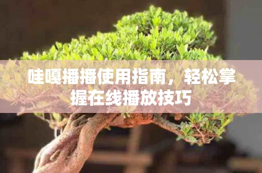 轻松掌握在线播放技巧图片