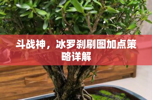 冰罗刹刷图加点策略详解图片