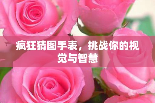挑战你的视觉与智慧图片
