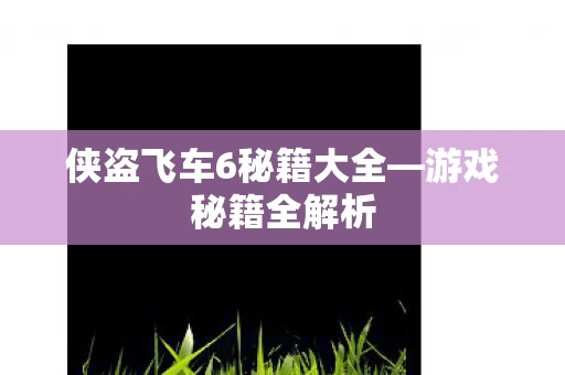 侠盗飞车6秘籍大全图片