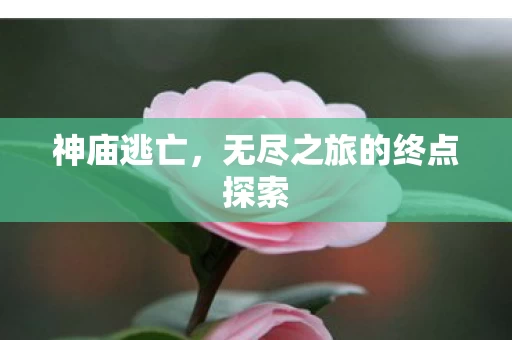 无尽之旅的终点探索图片