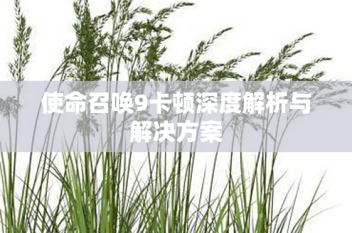 使命召唤9卡顿深度解析与解决方案图片