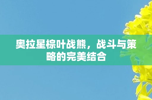 战斗与策略的完美结合图片