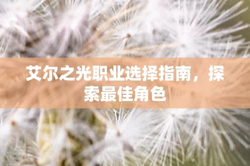 艾尔之光职业选择指南图片