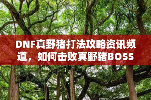 DNF真野猪打法攻略资讯频道图片