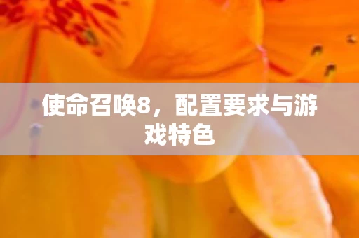 配置要求与游戏特色图片