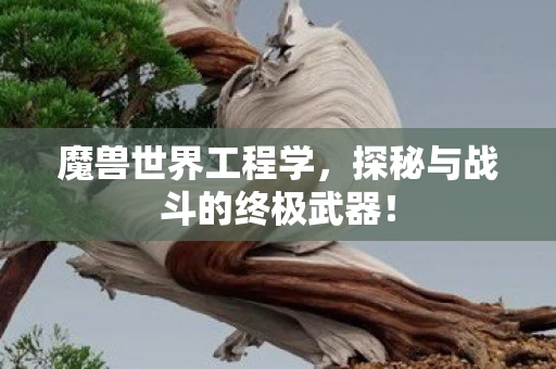 探秘与战斗的终极武器图片