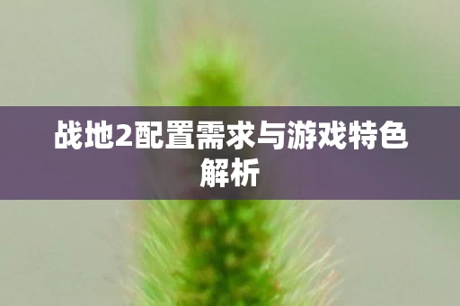 战地2配置需求与游戏特色解析图片