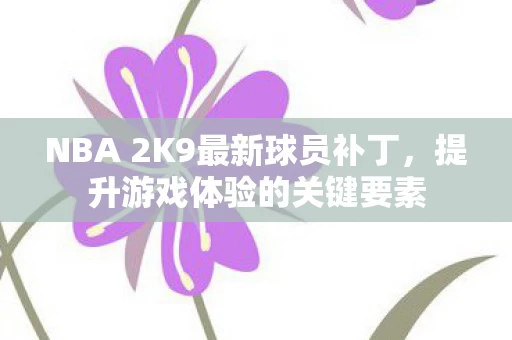 NBA 2K9最新球员补丁图片