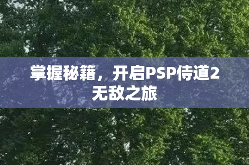 开启PSP侍道2无敌之旅图片