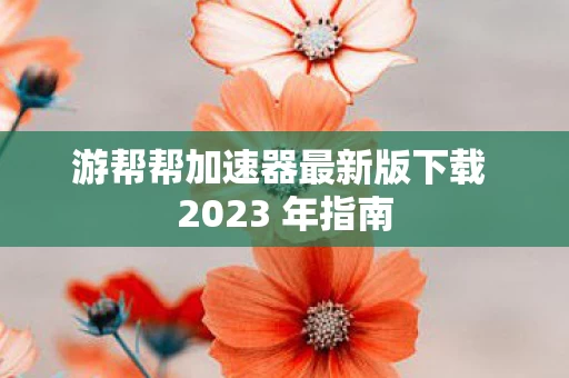 游帮帮加速器最新版下载 2023 年指南图片