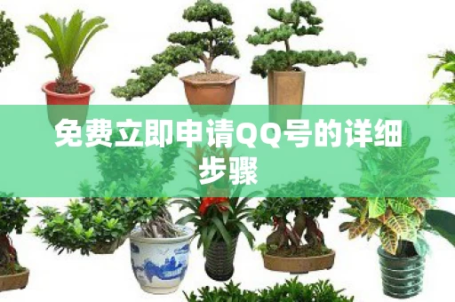 免费立即申请QQ号的详细步骤图片