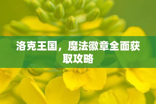 魔法徽章全面获取攻略图片