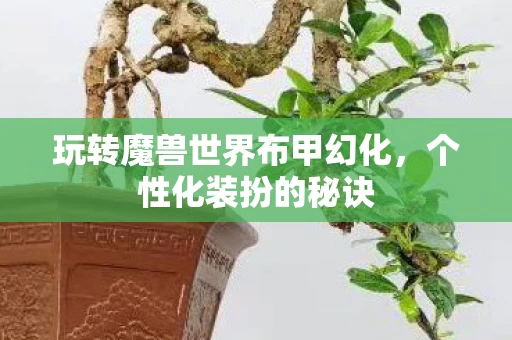 玩转魔兽世界布甲幻化图片