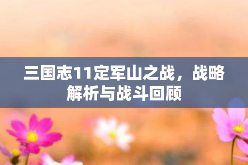 三国志11定军山之战图片