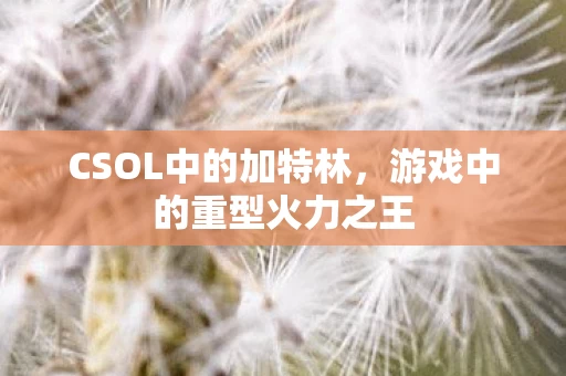 游戏中的重型火力之王图片