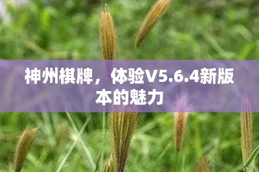 4新版本的魅力图片