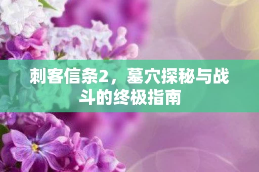 墓穴探秘与战斗的终极指南图片