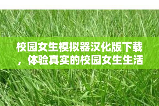 校园女生模拟器汉化版下载图片