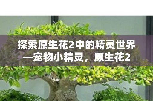 探索原生花2中的精灵世界图片