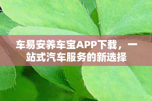 车易安养车宝APP下载图片