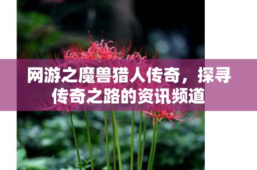 探寻传奇之路的资讯频道图片