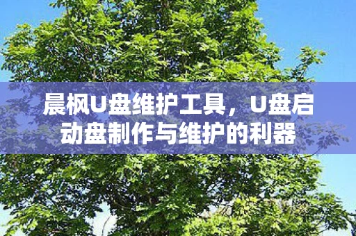 U盘启动盘制作与维护的利器图片