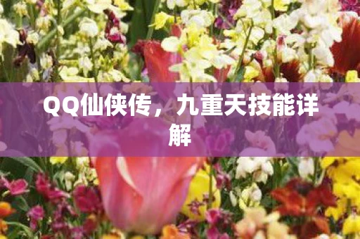 九重天技能详解图片