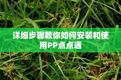 详细步骤教你如何安装和使用PP点点通图片