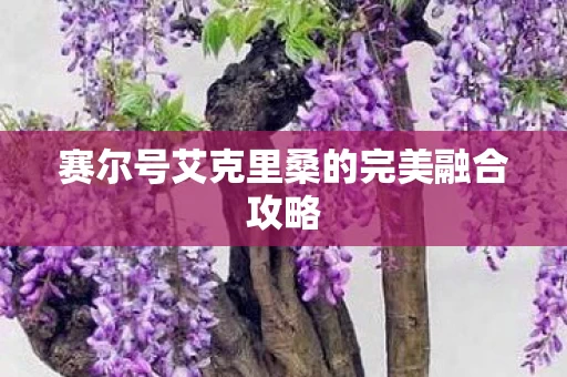 赛尔号艾克里桑的完美融合攻略图片