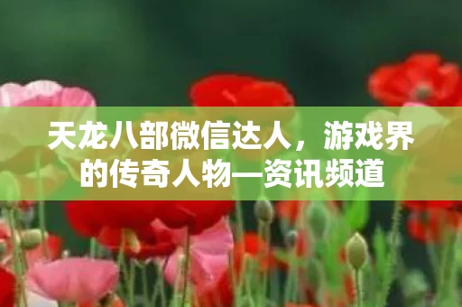 天龙八部微信达人图片