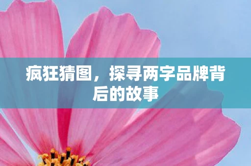 探寻两字品牌背后的故事图片