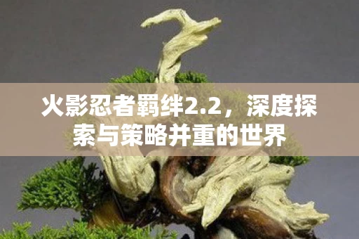 深度探索与策略并重的世界图片