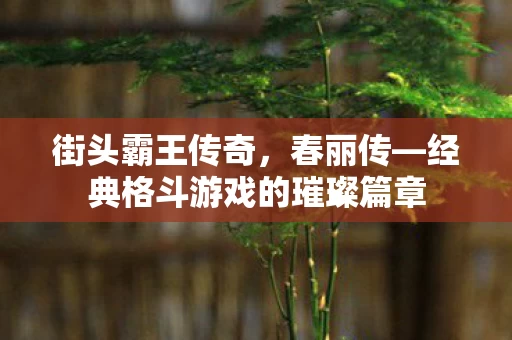 经典格斗游戏的璀璨篇章图片