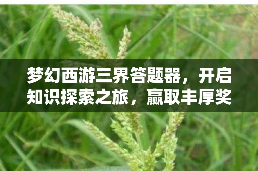 梦幻西游三界答题器图片