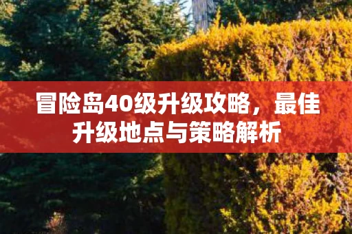最佳升级地点与策略解析图片