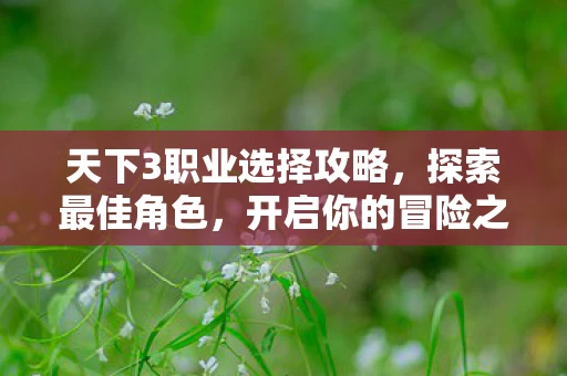 天下3职业选择攻略图片