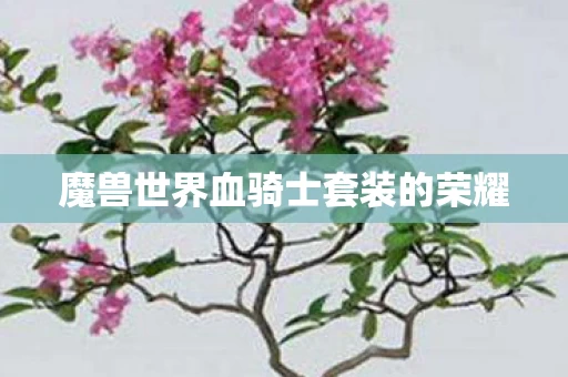 魔兽世界血骑士套装的荣耀图片