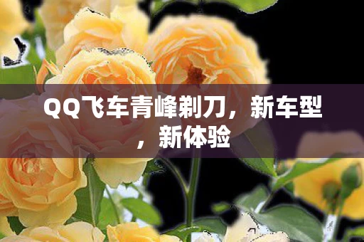 QQ飞车青峰剃刀图片
