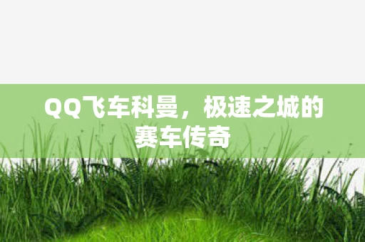 极速之城的赛车传奇图片