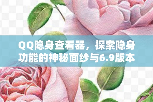探索隐身功能的神秘面纱与6图片