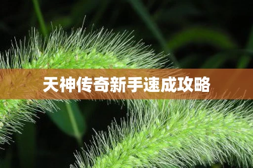 天神传奇新手速成攻略图片