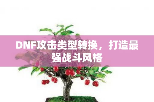 DNF攻击类型转换图片