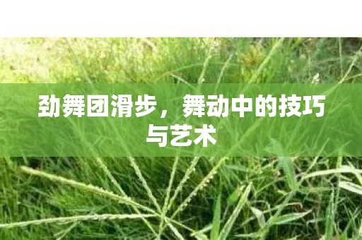 舞动中的技巧与艺术图片