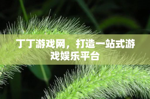 打造一站式游戏娱乐平台图片