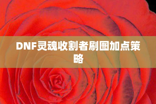 DNF灵魂收割者刷图加点策略图片