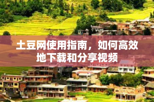 如何高效地下载和分享视频图片