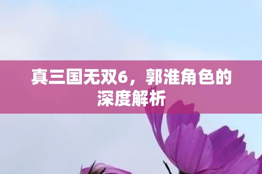 郭淮角色的深度解析图片